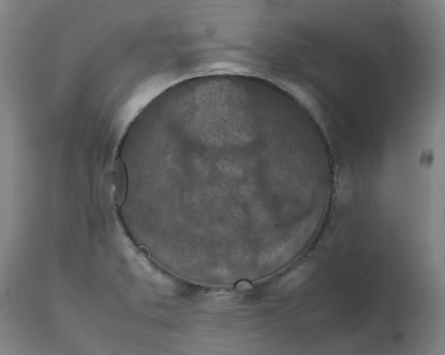 X0000112511373200909071258