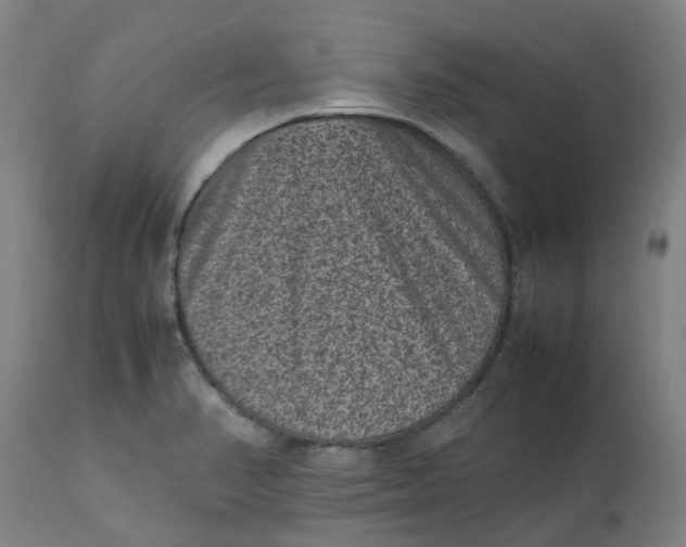 X0000112511374200909071258