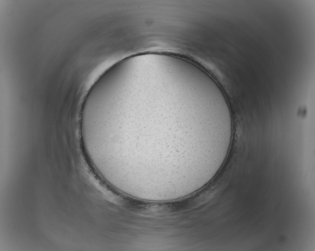 X0000112511375200909071258