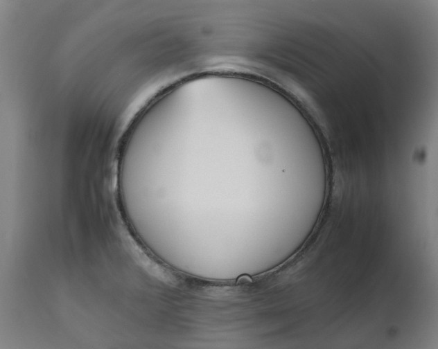 X0000112511376200909071258