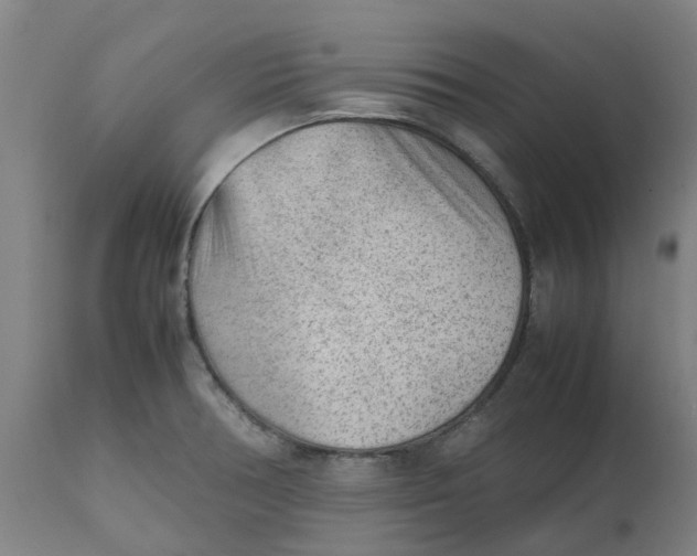 X0000112511378200909071258