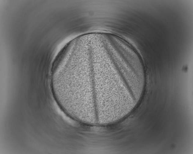 X0000112511379200909071258