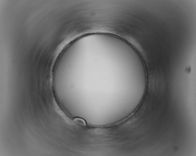 X0000112511380200909071258