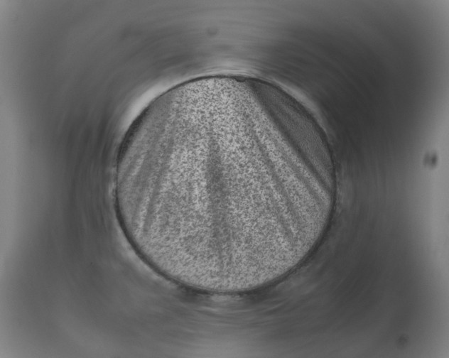 X0000112511383200909071258