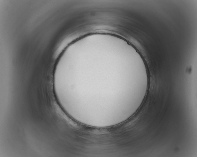 X0000112511384200909071258