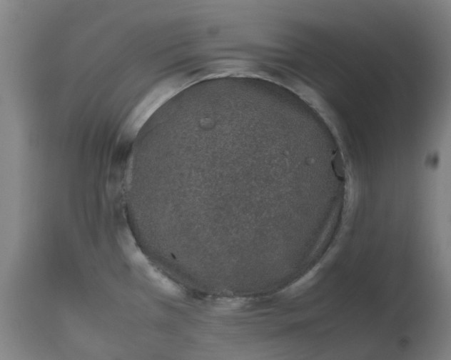 X0000112511385200909071258