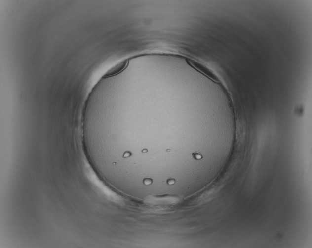 X0000112511387200909071258