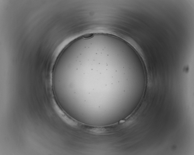 X0000112511388200909071258