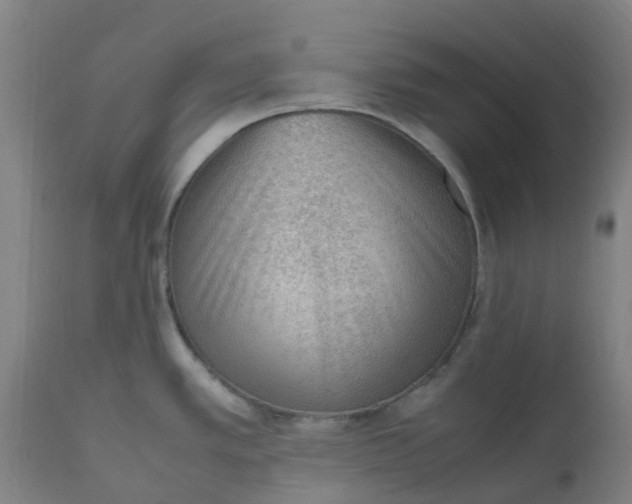 X0000112511389200909071258