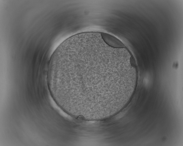 X0000112511390200909071258