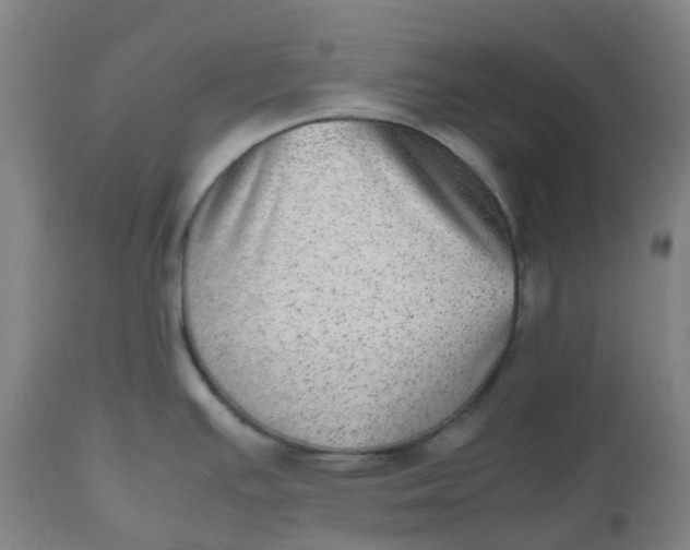 X0000112511391200909071258