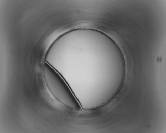 X0000112511392200909071258