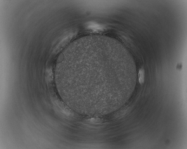 X0000112511395200909071257