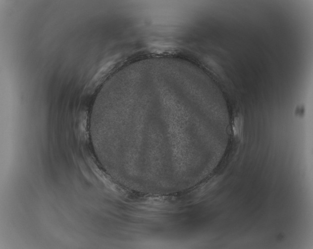 X0000112511396200909071257