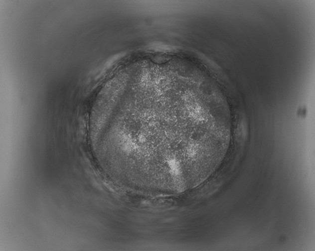 X0000112511397200909071257