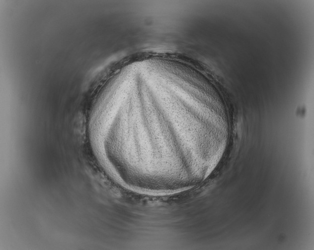 X0000112511398200909071257