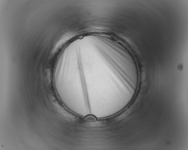 X0000112511402200909071257