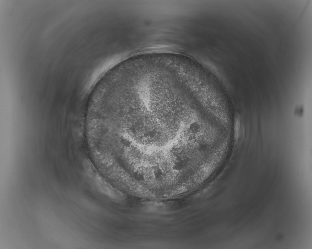 X0000112511405200909071258