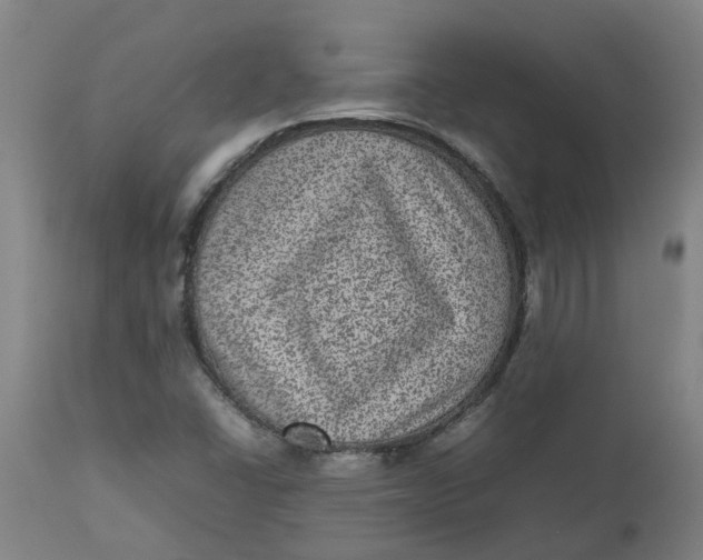 X0000112511406200909071258