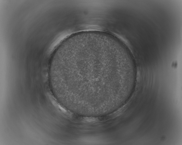 X0000112511407200909071258