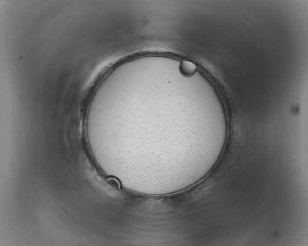 X0000112511408200909071258