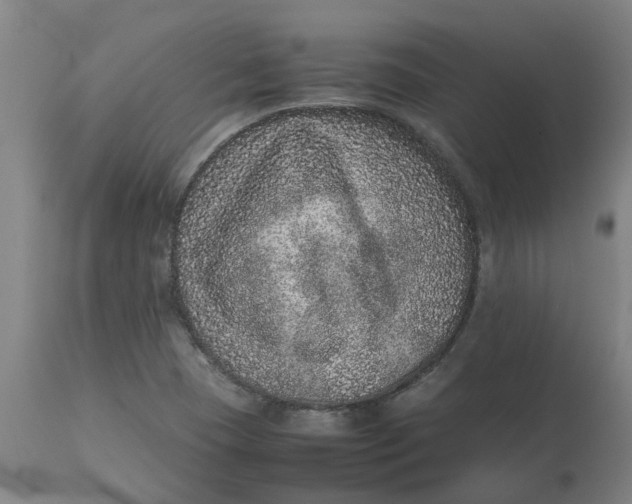 X0000112511409200909071258