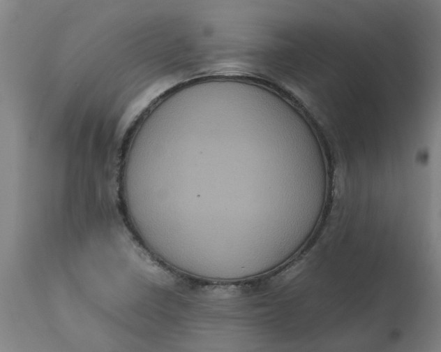 X0000112511410200909071258