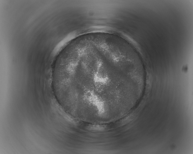 X0000112511411200909071258