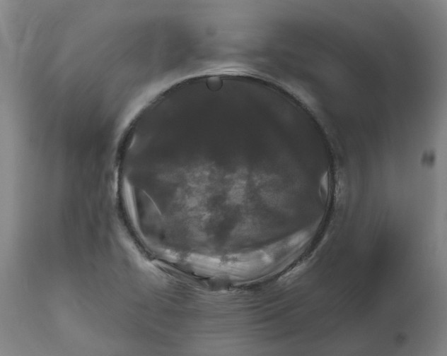 X0000112511414200909071258