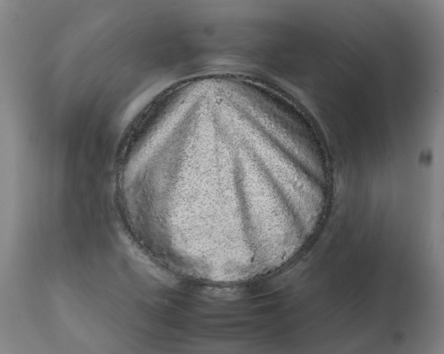 X0000112511415200909071258