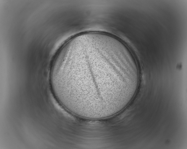 X0000112511416200909071258