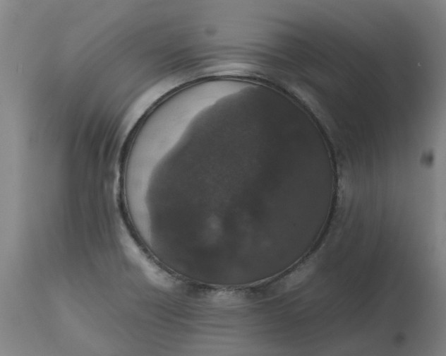 X0000112511418200909071258