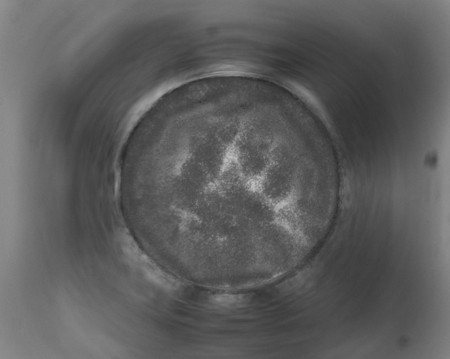 X0000112511419200909071258