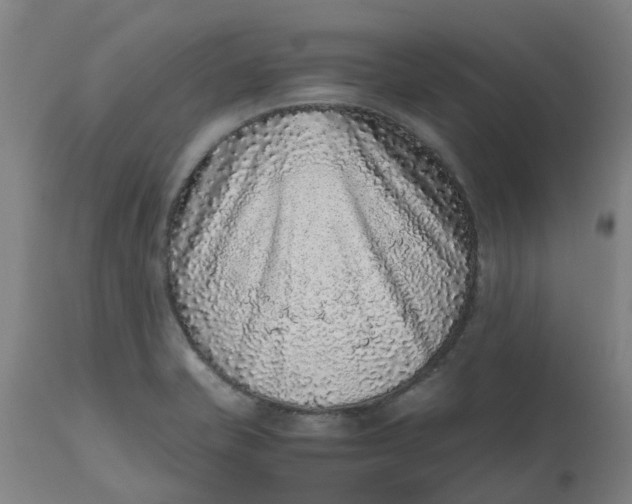 X0000112511421200909071258