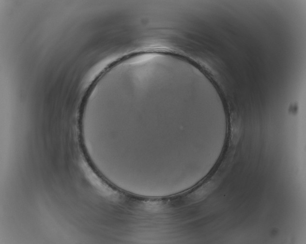 X0000112511422200909071258