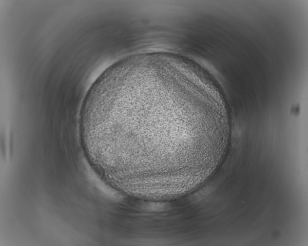 X0000112511423200909071258