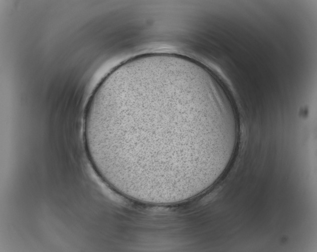 X0000112511424200909071258