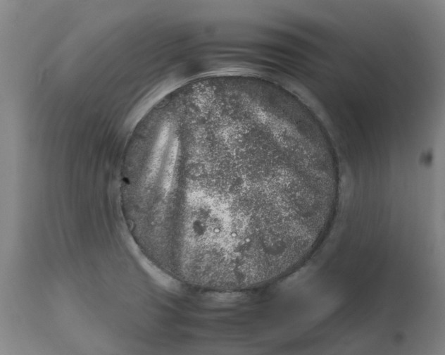 X0000112511425200909071258