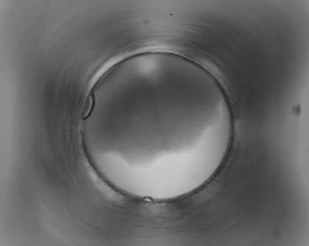 X0000112511428200909071258