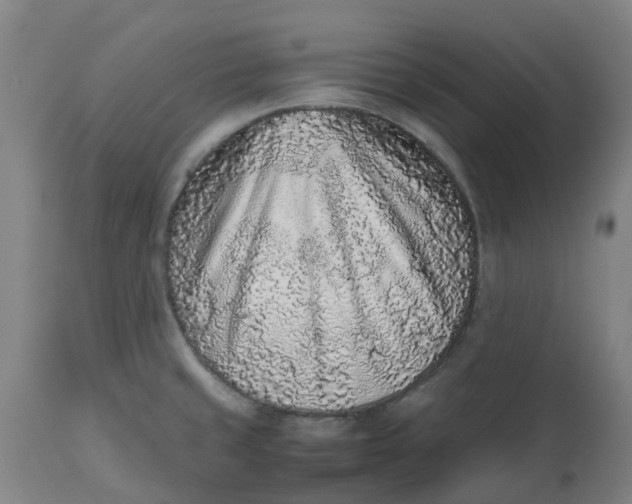 X0000112511429200909071258