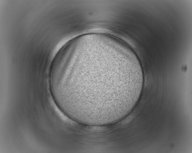 X0000112511430200909071258