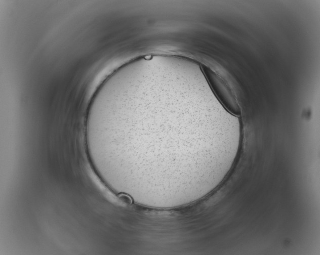 X0000112511432200909071258