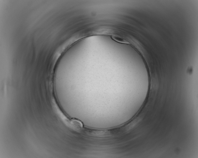 X0000112511434200909071258