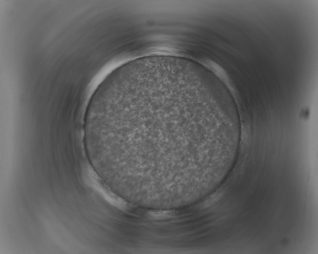 X0000112511435200909071258