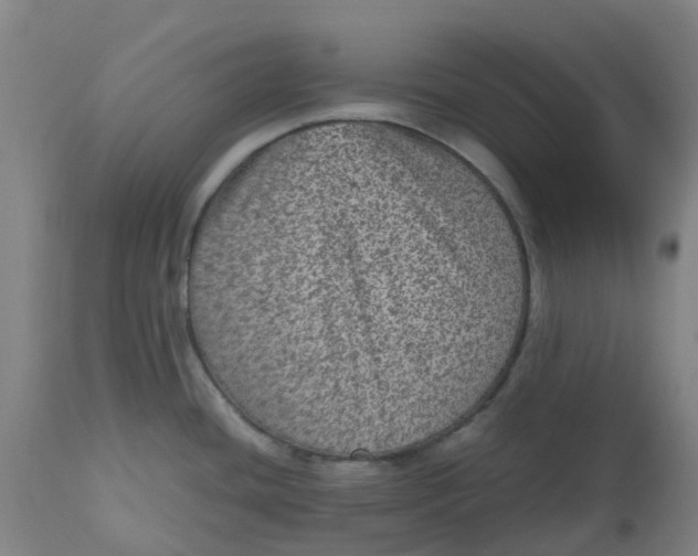 X0000112511436200909071258