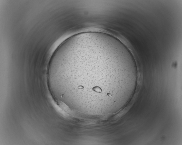 X0000112511438200909071258