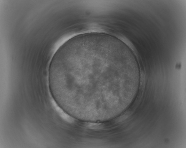 X0000112511439200909071258