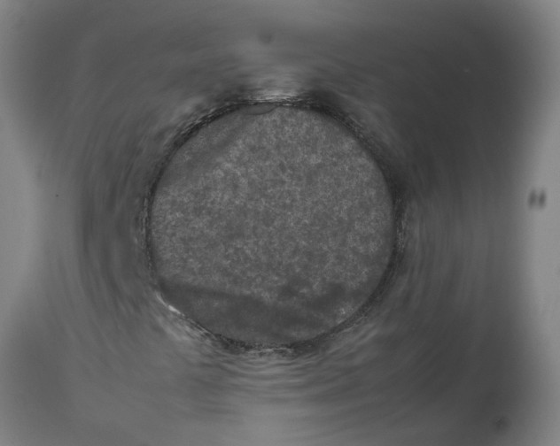 X0000112511441200909071257