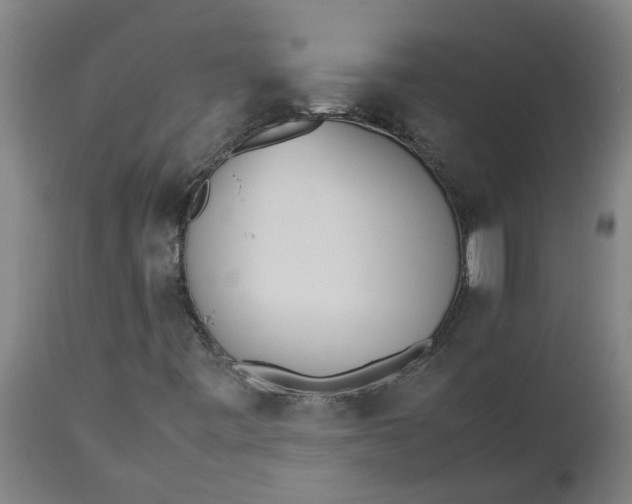 X0000112511443200909071257