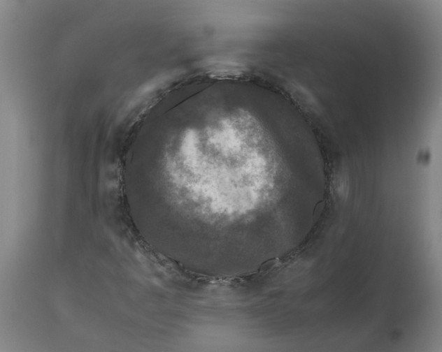 X0000112511445200909071257